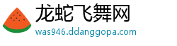 龙蛇飞舞网